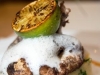 Burnt-lime